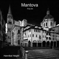 Mantova - Fine Art 0244690952 Book Cover