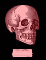 Red Skull Composition Notebook: College Ruled (7.44 X 9.69) Vintage Anatomy Human Head Engraving 172571986X Book Cover