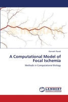 A Computational Model of Focal Ischemia: Methods in Computational Biology 3659122092 Book Cover