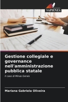 Gestione collegiale e governance nell'amministrazione pubblica statale 6206353680 Book Cover