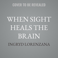 When Sight Heals the Brain: A Memoir of a Brain Injury Journey and the Visual Road Home B0GTRYVXKK Book Cover