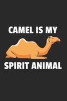 Kamel Notizbuch: Kamel Notizbuch für Liebhaber / Notizheft / Notizblock A5 (6x9in) Dotted Notebook / Punkteraster / 120 gepunktete Seiten (German Edition) 1671656210 Book Cover