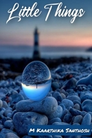 Little Things: A collection of 4 Short stories B08TL5W55Z Book Cover