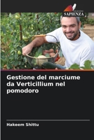 Gestione del marciume da Verticillium nel pomodoro (Italian Edition) 6209617867 Book Cover