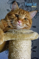 Funny Cat Memes Training For Healthy Life Log Book: 90 Day Diet and Exercise Fitness Journal Activity Tracker | 3 Month Diet Plan to Lose Weight | ... Note Weekly | Funny Cat Memes Design Cover 1657438473 Book Cover