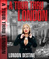 A Tour Thru London pt. 1: When it All Falls Down 0615711235 Book Cover