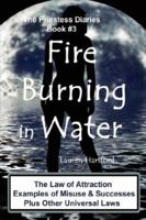 Fire Burning in Water: The Law of Attraction Examples of Misuse and Successes 189271888X Book Cover