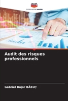 Audit des risques professionnels (French Edition) 6209598188 Book Cover