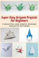 Super Easy Origami Projects for Beginners: 9 Beautiful and Simple Origami Projects Patterns B08PJG7M14 Book Cover