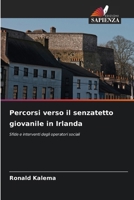 Percorsi verso il senzatetto giovanile in Irlanda 6209659934 Book Cover