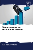 Энергоаудит на молочном заводе 6204176862 Book Cover