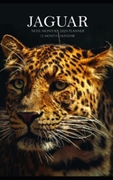 Jaguar Note Monthly 2020 Planner 12 Month Calendar 1707920346 Book Cover