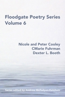 Floodgate Series Volume 6 0998897647 Book Cover