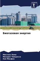 &#1041;&#1080;&#1086;&#1075;&#1072;&#1079;&#1086;&#1074;&#1072;&#1103; &#1101;&#1085;&#1077;&#1088;&#1075;&#1080;&#1103; 6205369079 Book Cover