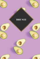 Brunei: Carnet de voyage lign� ou carnet de voyage lign� - Journal de voyage pour hommes et femmes avec lignes 165454549X Book Cover