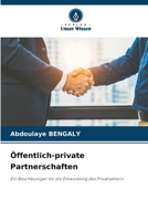 Öffentlich-private Partnerschaften (German Edition) 6200739366 Book Cover