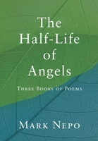 The Half-Life of Angels 1734705523 Book Cover