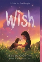 Book cover image for Wish