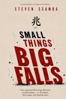 Small Things, Big Falls: How Ignored Warnings Become Catastrophes - in Cockpits, Marriages, and Boardrooms B0H96T6R1J Book Cover