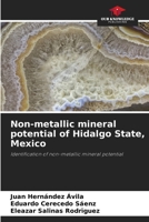 Non-metallic mineral potential of Hidalgo State, Mexico 6209078389 Book Cover