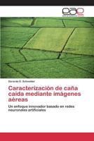 Caracterizacion de Cana Caida Mediante Imagenes Aereas 3659083135 Book Cover