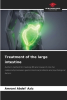 Treatment of the large intestine: Author's method for treating IBS and research into the relationship between gastrointestinal problems and psychological factors 6208778387 Book Cover