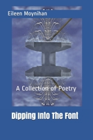 Dipping Into The Font 1701823527 Book Cover
