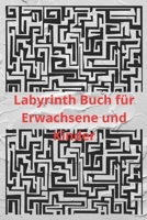 Labyrinth Buch für Erwachsene und Kinder: Spaß und herausfordernde Labyrinthe für Kinder, Jugendliche und Erwachsene Ein erstaunliches ... alle) 6 * 9 Zoll 105 Seite, B08WZJK2FJ Book Cover