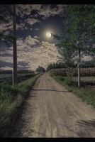 Whispers of the Canyon: A Family Quest (Adventures of Aiden, Wyatt,Brooks and Cora) B0F3JSV4MG Book Cover