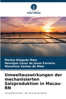 Umweltauswirkungen der mechanisierten Salzproduktion in Macau-RN: Umweltkontrolle - Rio Grande do Norte 620627294X Book Cover