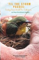 'Til the Storm Passes: Finding Peace Amidst the Turbulence 9769663344 Book Cover