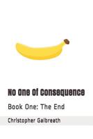 No One Of Consequence: Book One:  The End 1090831552 Book Cover