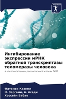 Ингибирование экспрессии мРНК обратной транскриптазы теломеразы человека: в клеточной линии рака молочной железы T47D 6206039978 Book Cover
