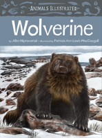 Animals Illustrated: Wolverine 1772272981 Book Cover