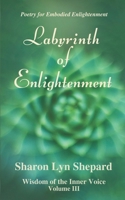 Labyrinth of Enlightenment, Wisdom of the Inner Voice Volume III 1696418763 Book Cover