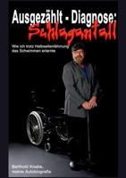 Ausgezählt - Diagnose Schlaganfall 3746088216 Book Cover