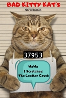 Bad Kitty Kat's Notebook 1675117462 Book Cover