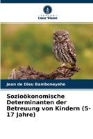 Sozioökonomische Determinanten der Betreuung von Kindern (5-17 Jahre) 620412840X Book Cover