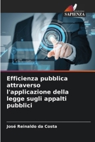 Efficienza pubblica attraverso l'applicazione della legge sugli appalti pubblici 6207035445 Book Cover