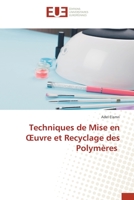 Techniques de Mise en OEuvre et Recyclage des Polymères 6203453560 Book Cover