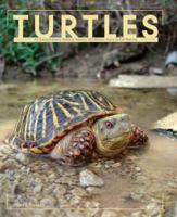 Turtles: An Extraordinary Natural History 245 Million Years in the Making 0760329818 Book Cover