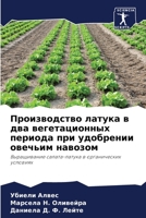 Производство латука в два вегетационных п 6206418251 Book Cover