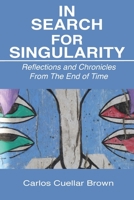 In Search For Singularity: Reflections and Chronicles From The End of Time 136644745X Book Cover