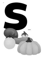 in Singularity B0DPSCXK9Z Book Cover