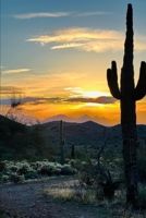 The Treasures in Cactus Hollow B0F3K1KLZW Book Cover