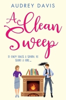 A Clean Sweep: A laugh-out-loud tale of love, lies and second chances ... 2970131617 Book Cover