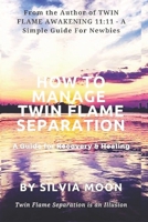 How to Manage Twin Flame Separation: A Guide For Recovery & Healing 1095973487 Book Cover