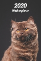 2020 Wochenplaner: Britisch Langhaar | 107 Seiten, 15cm x 23cm ca. A5 | Taschenkalender | Terminplaner | Tagebuch | Terminkalender | Organizer für Katzenliebhaber (German Edition) 167192343X Book Cover