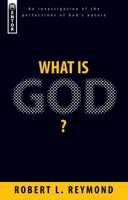 What Is God?: An Investigation of the Perfections of God's Nature 1845502280 Book Cover