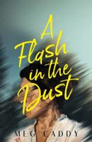 A Flash in the Dust B0GG6BPKJQ Book Cover